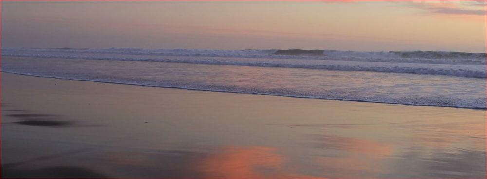 Doryman'S Oceanfront Inn Newport Beach Dış mekan fotoğraf